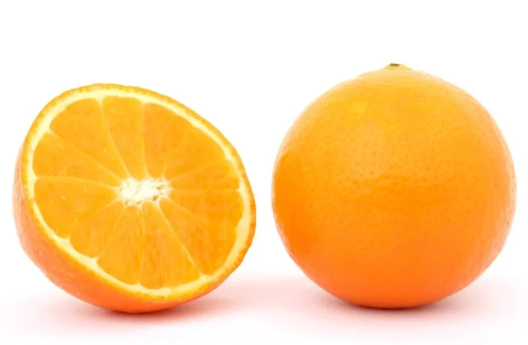 Quelle est la saison des oranges ?